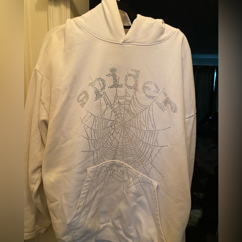 Spider worldwide web hoodie
